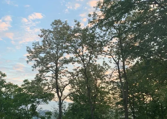 La Casa Di Ana Villa Cunico